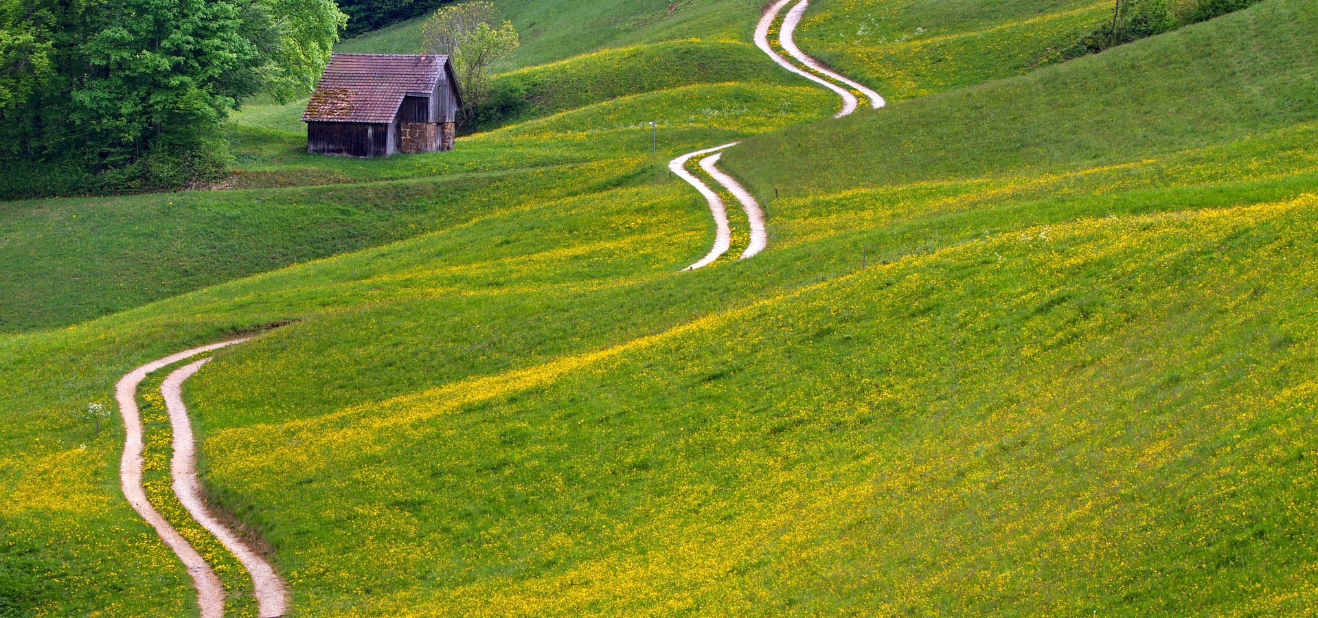 Un chemin sinueux à travers la campagne, métaphore du parcours de vie